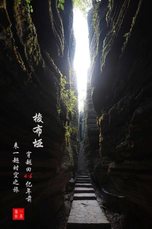 逃离冰淇淋岛屿