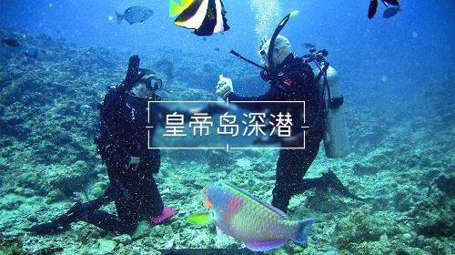 汽车美容普洗和精洗的区别？游戏画面
