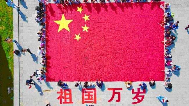 飞扬的独眼鸟